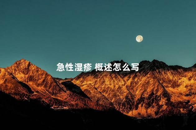 急性湿疹 概述怎么写